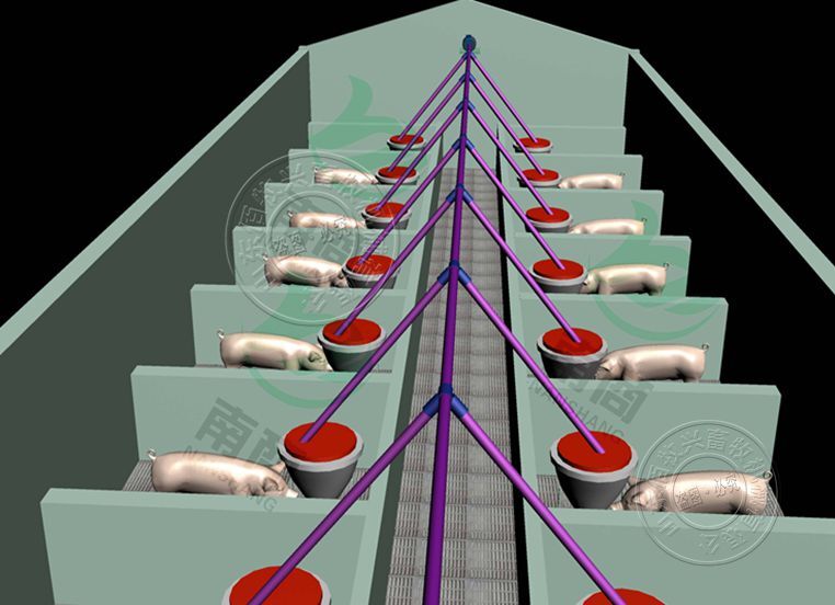 豬場自動喂料系統(tǒng)