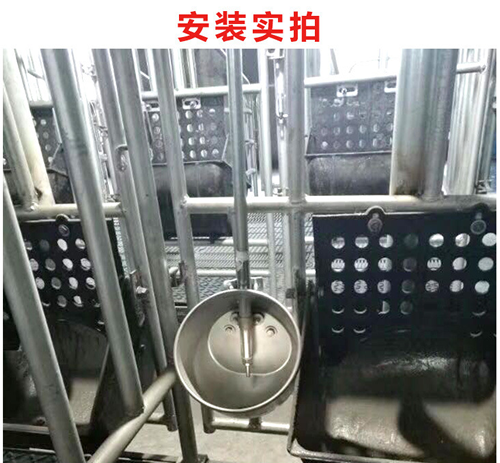 不銹鋼環(huán)保水碗