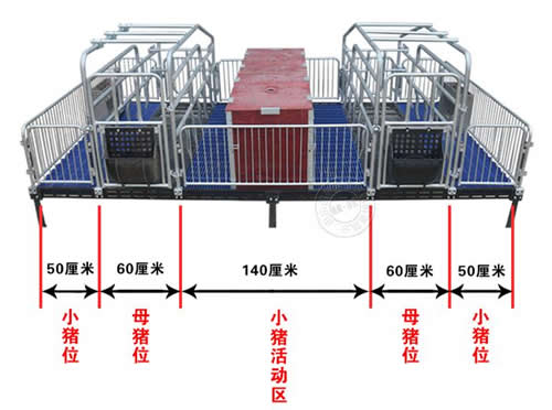 母豬產(chǎn)床