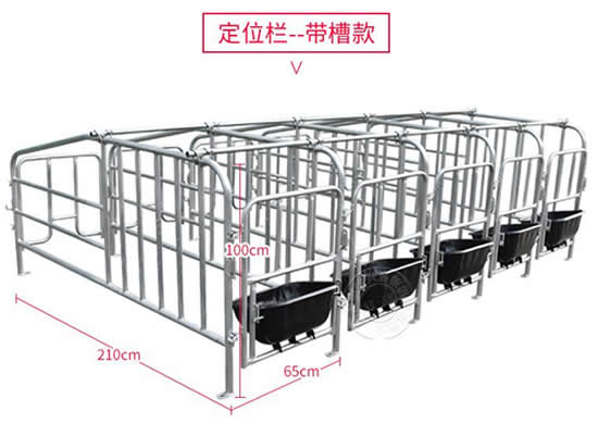 母豬限位欄