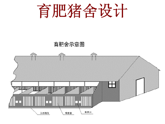 育肥豬舍設(shè)計(jì)圖