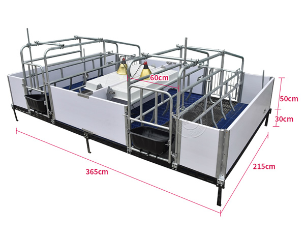 雙體母豬產(chǎn)床