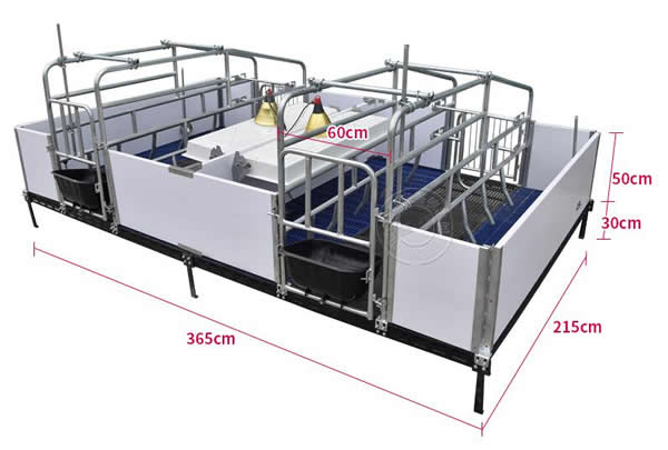 雙體母豬產(chǎn)床尺寸
